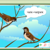 Интерактивное развивающее пособие "Говорящие картинки. Слушаем и повторяем" - «globural.ru» - Сочи