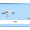 Английский язык. Освоение клавиатуры - «globural.ru» - Сочи