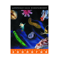 Зоология. Микрофотографии. (Цифровая база изображений) - «globural.ru» - Сочи