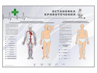 Электрифицированный стенд "Остановка кровотечения" - «globural.ru» - Сочи