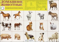Демонстрационные карточки "Домашние животные" - «globural.ru» - Сочи