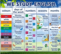 Стенд "We study english" - «globural.ru» - Сочи