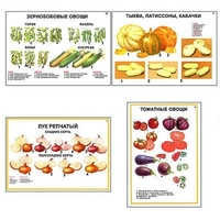 Плакаты ПРОФТЕХ "Ассортимент овощных культур" (12 пл, винил, 70х100) - «globural.ru» - Сочи