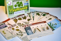 Гербарий к курсу основ общей биологии - «globural.ru» - Сочи