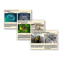 Комплект таблиц раздаточных "Ядовитые животные" - «globural.ru» - Сочи