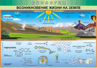 Таблица Возникновение жизни на Земле 1000*1400 винил - «globural.ru» - Сочи