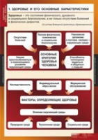 ОБЖ Здоровый образ жизни (комплект таблиц) - «globural.ru» - Сочи