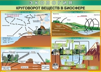 Таблица Круговорот веществ в биосфере 1000*700 винил - «globural.ru» - Сочи