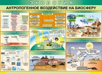 Таблица Антропогенное воздействие на биосферу 1000*700 винил - «globural.ru» - Сочи
