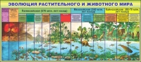Стенд "Эволюция растительного и животного мира" - «globural.ru» - Сочи