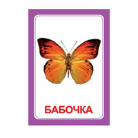 Логопедка "Ч" (логопедические карточки) - «globural.ru» - Сочи