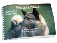 Пособие для слабовидящих "Домашние животные" - «globural.ru» - Сочи