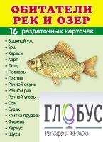 Раздаточные карточки "Обитатели рек и озер" - «globural.ru» - Сочи