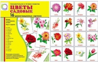Демонстрационные карточки "Цветы садовые" - «globural.ru» - Сочи