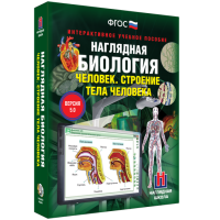 Наглядная биология. Человек. Строение тела человека - «globural.ru» - Сочи