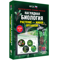 Наглядная биология. Растение - живой организм - «globural.ru» - Сочи