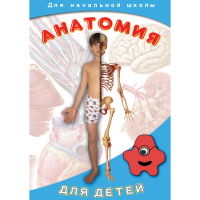 DVD  Анатомия для детей - «globural.ru» - Сочи