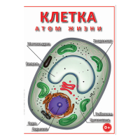 DVD Клетка - "атом жизни" - «globural.ru» - Сочи