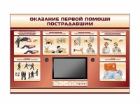 Многофункциональный интерактивный стенд-тренажер "Оказание первой помощи пострадавшим" для учащихся общеобразовательных учреждений - «globural.ru» - Сочи