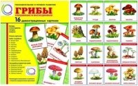 Демонстрационные карточки  "Грибы съедобные и не съедобные" - «globural.ru» - Сочи