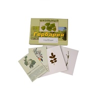 Гербарий "Деревья и кустарники" (22 вида, с иллюстрациями) - «globural.ru» - Сочи