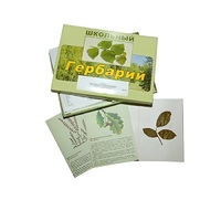 Гербарий "Дикорастущие растения" (30 видов, с иллюстрациями) - «globural.ru» - Сочи