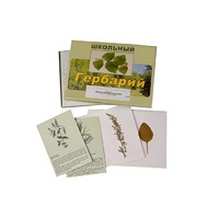 Гербарий "Лекарственные растения" (22 вида, с иллюстрациями) - «globural.ru» - Сочи