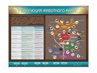 Интерактивный электрифицированный стенд "Эволюция животного мира" - «globural.ru» - Сочи