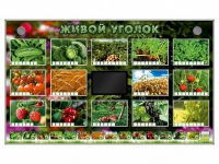 Комплект оборудования "Живой уголок" (растения) - «globural.ru» - Сочи
