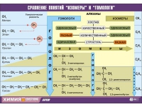 Таблица демонстрационная "Сравнение понятий изомер и гомолог" (винил 100х140) - «globural.ru» - Сочи