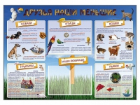 Стенд-уголок "Друзья наши меньшие" - «globural.ru» - Сочи