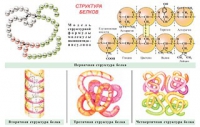 Плакаты и таблицы по общей химии - «globural.ru» - Сочи