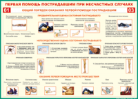  Таблица Общий порядок оказания первой помощи пострадавшим 1000*1400 винил	 - «globural.ru» - Сочи