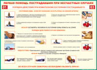 Таблица Порядок действий при коматозном состоянии пострадавшего 1000*1400 винил - «globural.ru» - Сочи