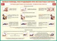 Таблица Порядок действий при ранениях и термических ожогах	 1000*1400 винил - «globural.ru» - Сочи