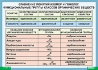 Химия. Сравнение понятий изомер и гомолог. Функциональные группы классов органических веществ (винил) - «globural.ru» - Сочи