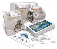 Комбинированное наглядное пособие «Животные» - «globural.ru» - Сочи