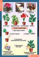 Окружающий мир 1 класс (комплект таблиц) - «globural.ru» - Сочи