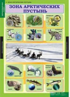 Окружающий мир 4 класс (комплект таблиц) - «globural.ru» - Сочи