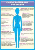 Стенд "Снятие мерок" (вариант 2) - «globural.ru» - Сочи