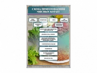 Стенд "Схема приготовления мясных котлет" - «globural.ru» - Сочи