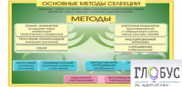 Стенд "Методы селекции и биотехнологии" - «globural.ru» - Сочи