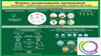 Стенд "Формы размножения организмов" - «globural.ru» - Сочи