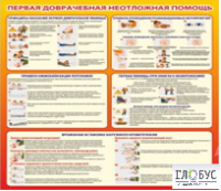 Стенд "Первая доврачебная неотложная помощь" - «globural.ru» - Сочи