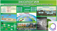 Стенд "Экология. Антропогенное воздействие на биосферу" - «globural.ru» - Сочи