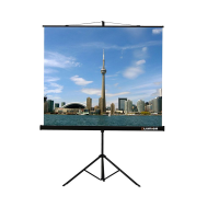 Проекционный экран на штативе Lumien Eco View (LEV-100105) 160x160 см - «globural.ru» - Сочи