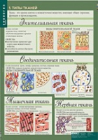 Биология 8-9 класс. Человек. (комплект таблиц) - «globural.ru» - Сочи