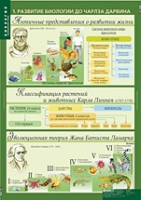 Биология 10-11 класс. Эволюционное учение (комплект таблиц) - «globural.ru» - Сочи