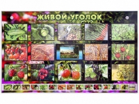 Комплект оборудования "Живой уголок" (растения) с тифлопереводом и сурдокомментариями - «globural.ru» - Сочи