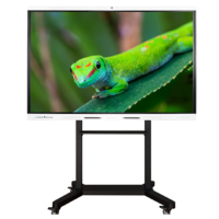 Интерактивный комплекс Geckotouch ​​​​​​​65RK - «globural.ru» - Сочи